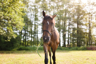 Similar image 11468088