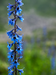 Similar image 11473081