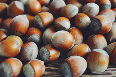 Similar image 11497255