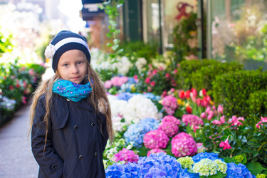 Similar image 11497462