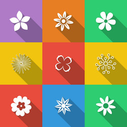 Similar image 11482681