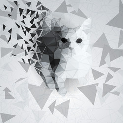 Similar image 11481434