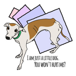 Similar image 11481240