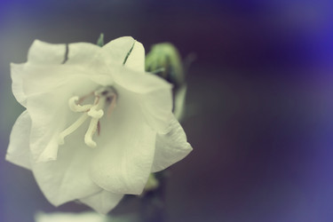 Similar image 11487481