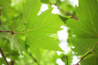 Similar image 11487493