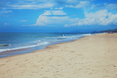 Similar image 11487500