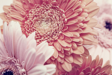 Similar image 11487503