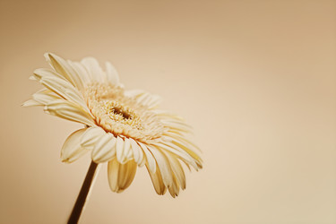 Similar image 11487157