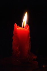 Similar image 11487159