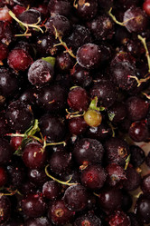 Similar image 11497076