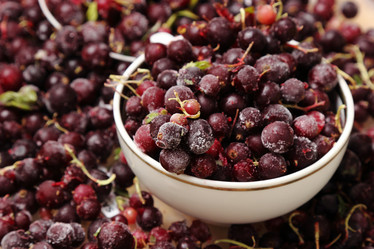 Similar image 11497196