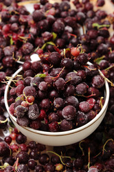 Similar image 11497215