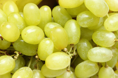 Similar image 11497217