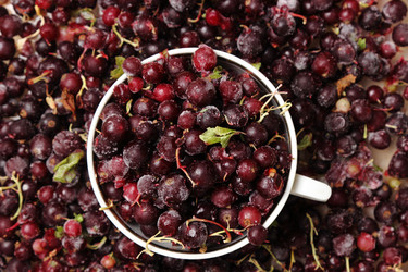 Similar image 11470390