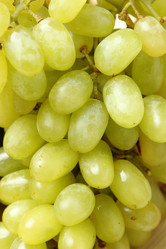 Similar image 11470391