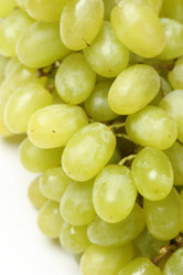 Similar image 11470392