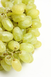 Similar image 11470393