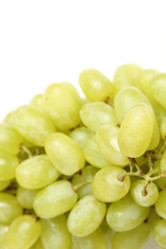 Similar image 11497116