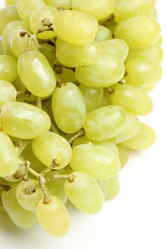 Similar image 11497136