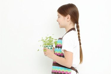 Similar image 11497871