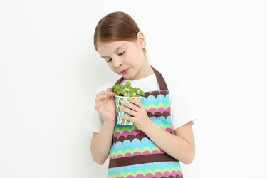 Similar image 11497950