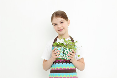 Similar image 11501672