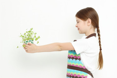 Similar image 11502308