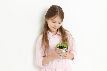 Similar image 11471263