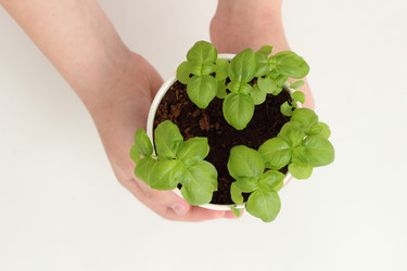 Similar image 11471253