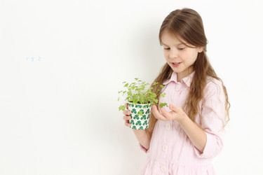 Similar image 11471258