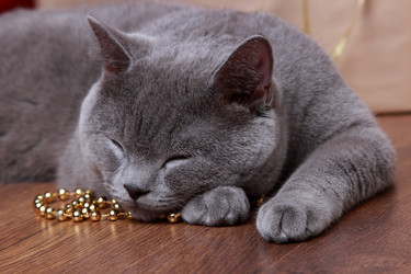 Similar image 11509201