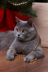 Similar image 11509209