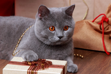 Similar image 11509210