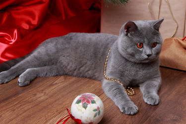 Similar image 11509211