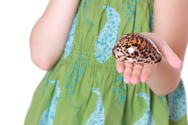 Similar image 11509204