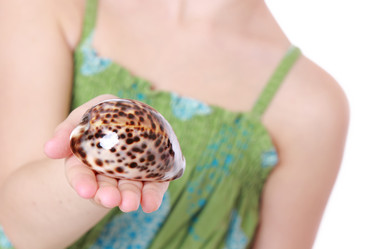 Similar image 11509205