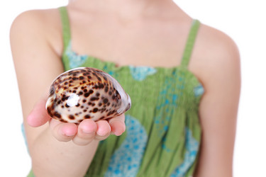 Similar image 11509212