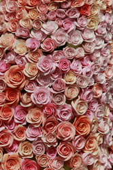 Similar image 11501553