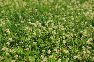 Similar image 11501616