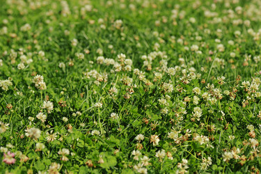 Similar image 11501617