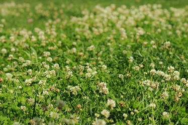 Similar image 11501618