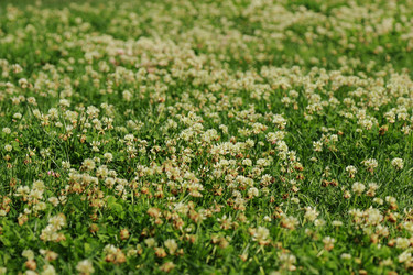 Similar image 11501635