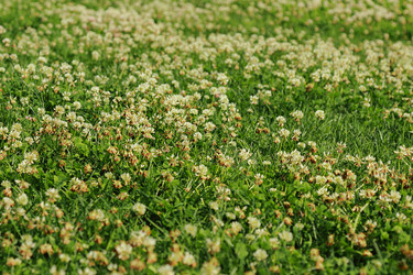 Similar image 11501654