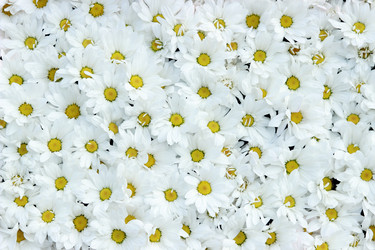 Similar image 11501655