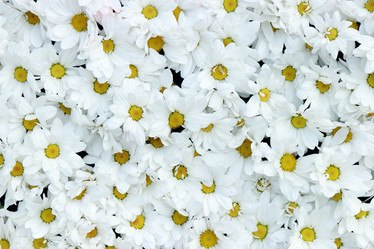 Similar image 11501675