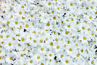 Similar image 11501695