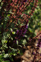 Similar image 11501714