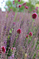 Similar image 11501774