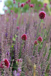 Similar image 11501775