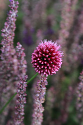 Similar image 11501794